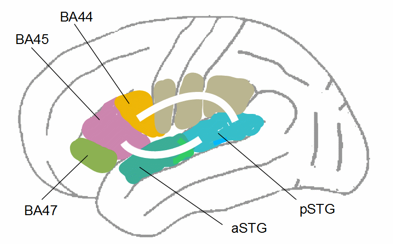 SLF und ECFS