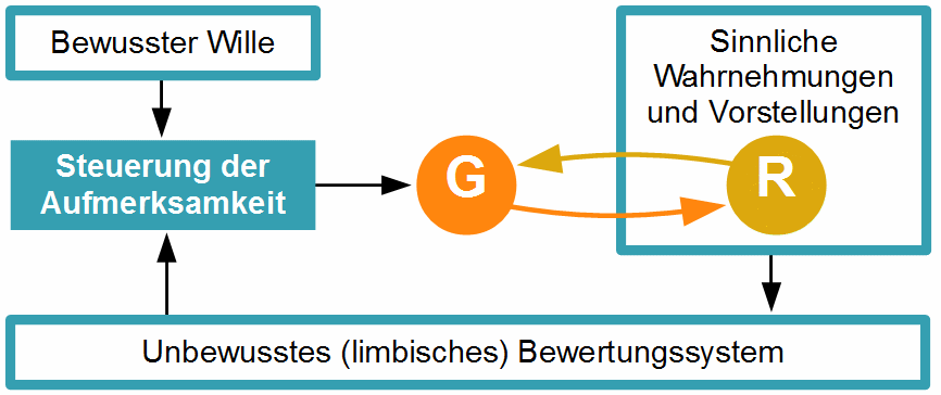 Kurzzeitgedächtnis durch kreisende Erregung