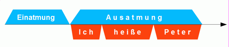 Sequenz Einatmung–Ausatmung und Sprechsequenz